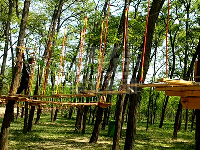 ����̽�U���